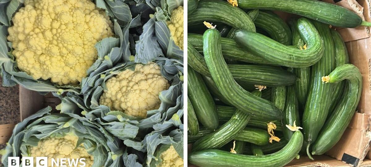 Sun-tanned cauliflowers and knobbly spuds - the heatwave veg that's good to eat