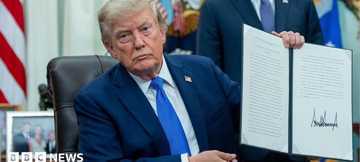 Trump again tries to limit US birthright citizenship with new executive orders