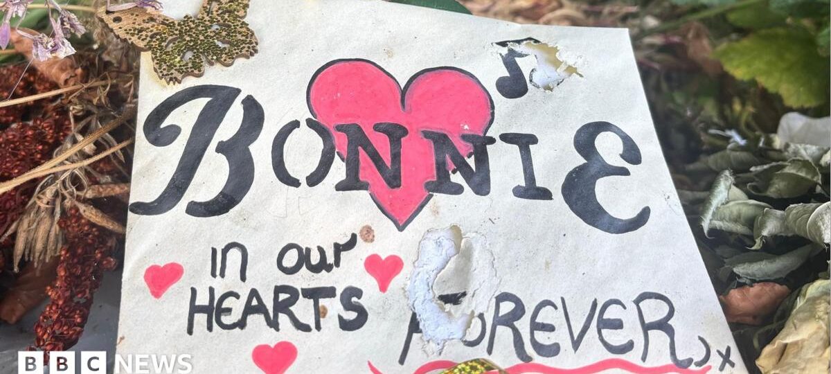 Bonnie Tyler fans line the streets as coffin taken to Swansea home