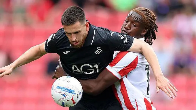 Idah hails Vipotnik amid uncertain Swansea future