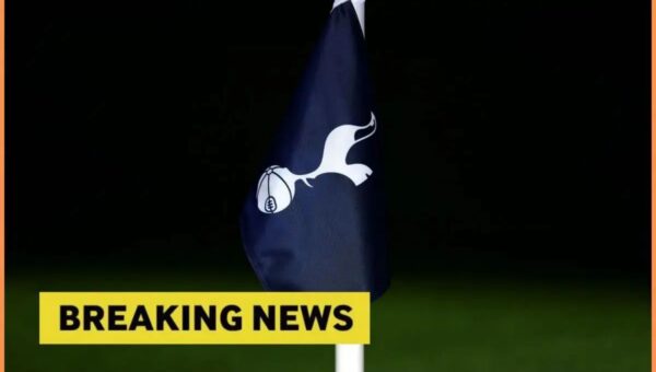 ‘In the next 48 hours’ – Journalist drops exciting Tottenham transfer update