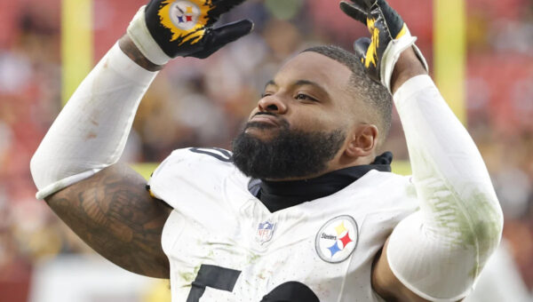 Steelers defensive snap counts, preseason Week 2: Elandon Roberts makes strong return