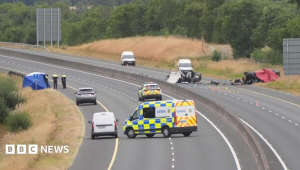 Officers told not to pursue car on wrong side of motorway, says Ireland’s police body