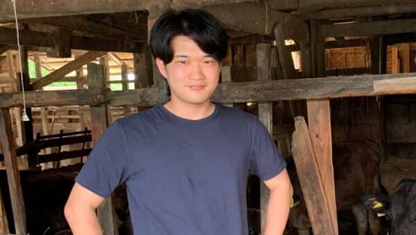 I left my desk job to take over my grandparents' Wagyu farm in rural Japan. It changed how I define success.