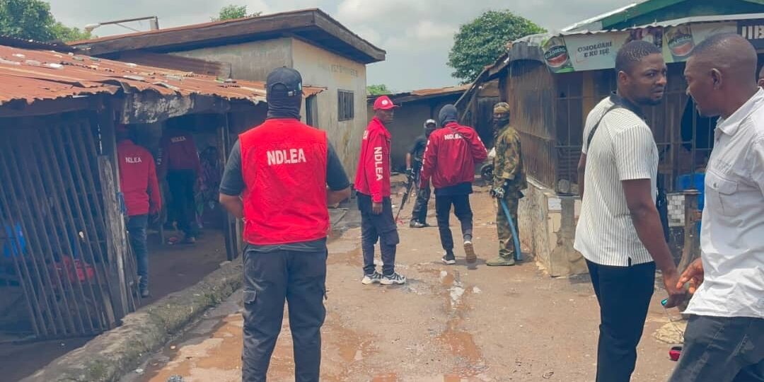 NDLEA dismantles drug black spots in Ogun, arrests 12 suspects