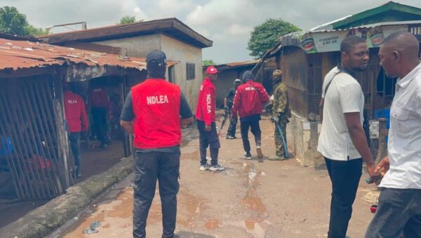 NDLEA dismantles drug black spots in Ogun, arrests 12 suspects