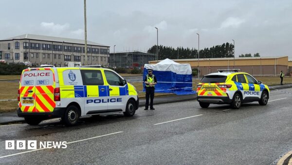 Man arrested after death of nine-year-old girl found injured in industrial estate