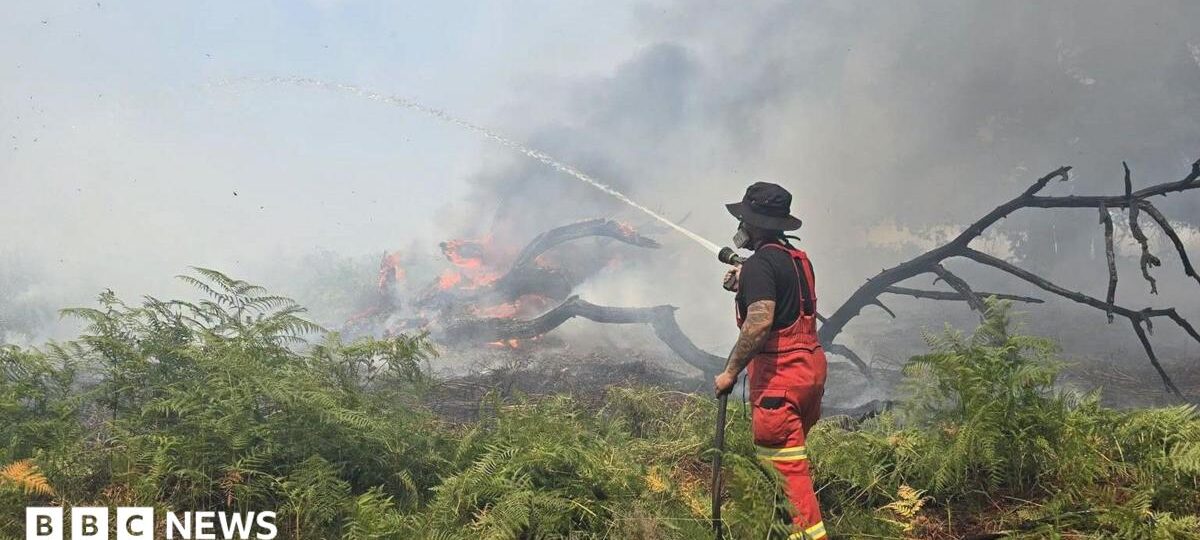 New Forest wildfire continues as temperatures rise