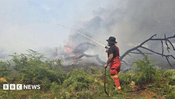 New Forest wildfire continues as temperatures rise