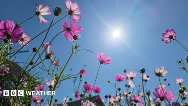 BBC Weather’s monthly outlook