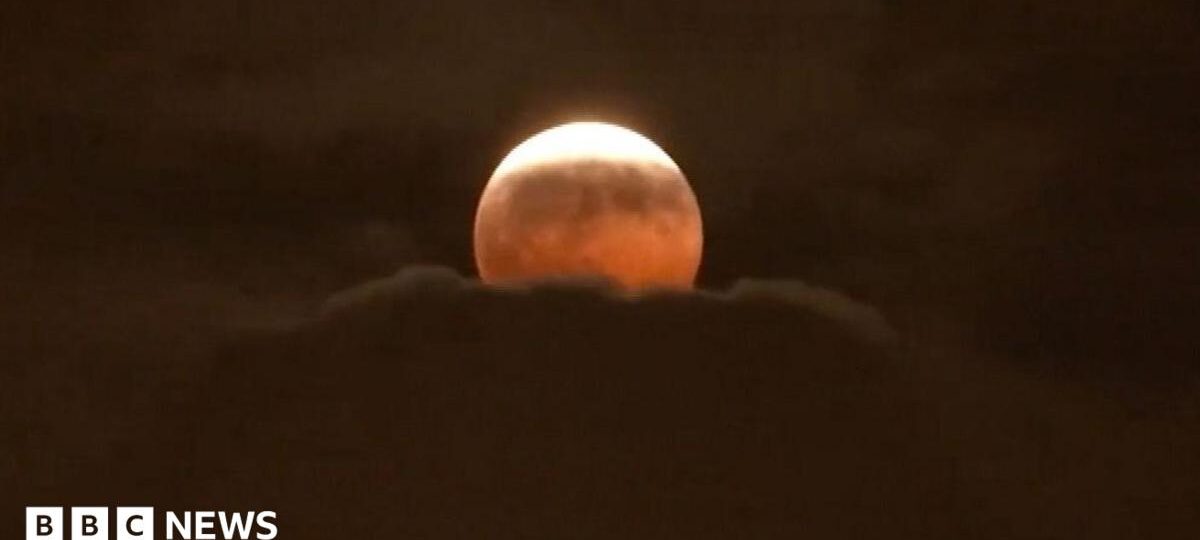 Watch: Stargazers around the world glimpse 'Blood Moon' lunar eclipse