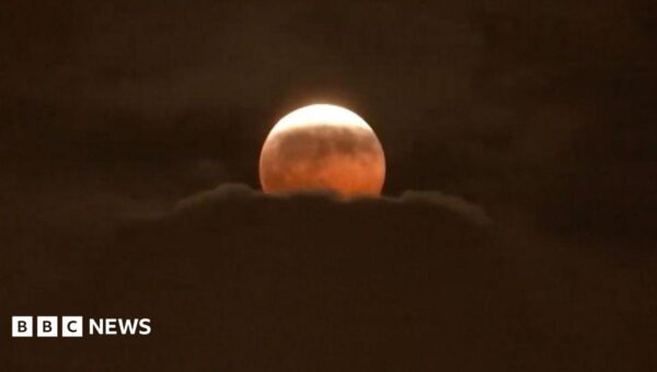 Watch: Stargazers around the world glimpse ‘Blood Moon’ lunar eclipse