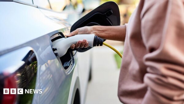 Electric vehicle sales targets could be cut after pressure from car makers