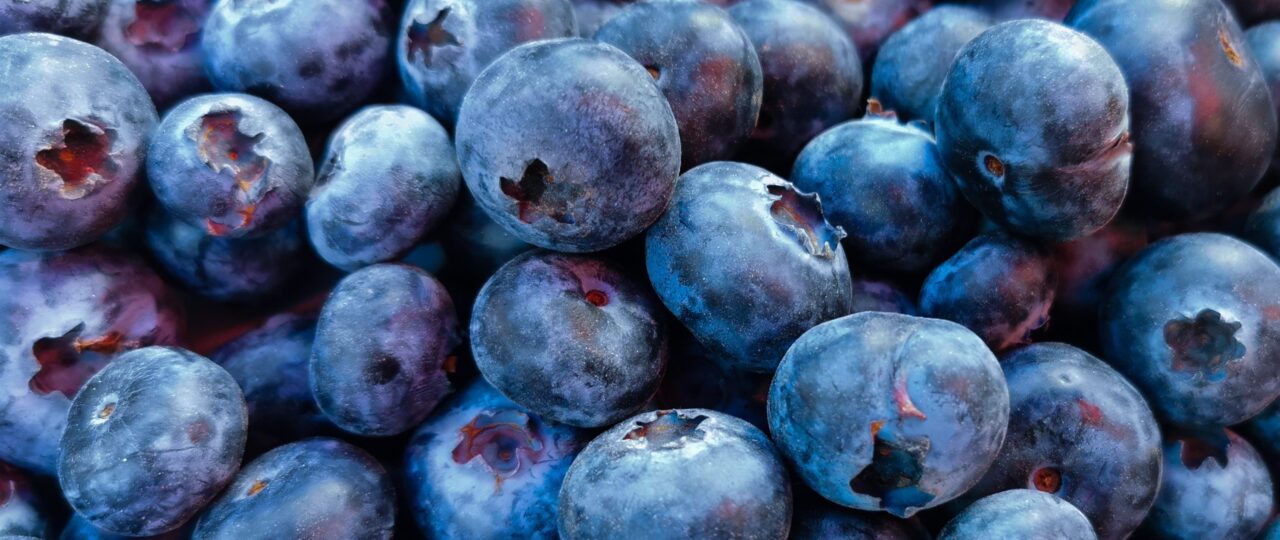 Publix Blueberry Recall: Which Blueberries Were Taken Off Shelves?