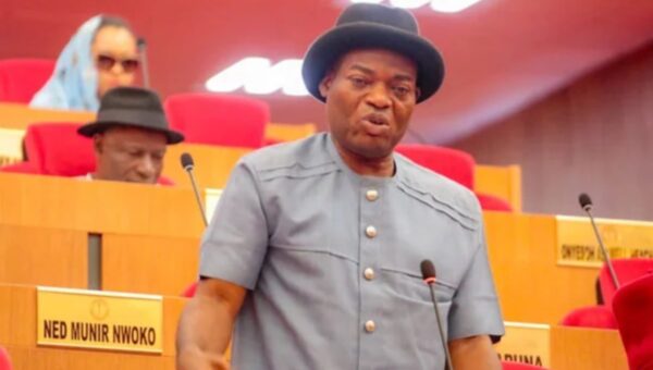 Court order, not Senator Nwoye, halted Nsugbe Igweship election, documents reveal