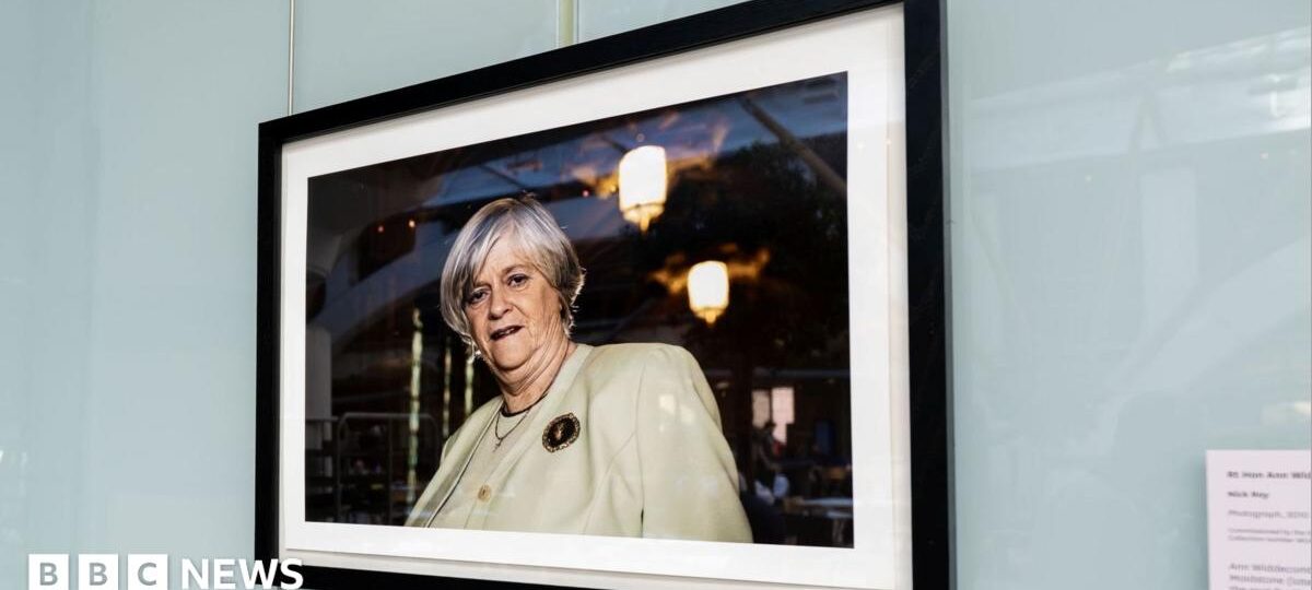Portrait of Ann Widdecombe put up in Parliament for MPs' return