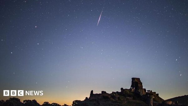 Perseid meteor shower reaches peak: When and where to catch a glimpse