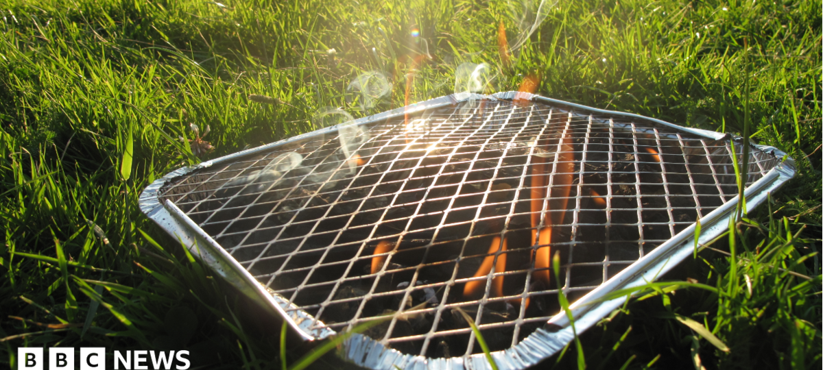 Burnham says disposable BBQ ban under consideration