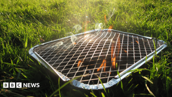 Burnham says disposable BBQ ban under consideration