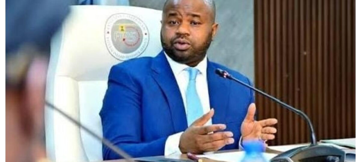 Nigerians tackle NRS boss, Adedeji over Tinubu trekking to office, eating once daily comments