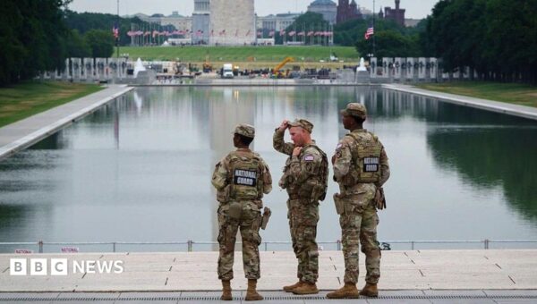 Trump administration drops Reflecting Pool vandalism charge and admits ‘botched’ repairs