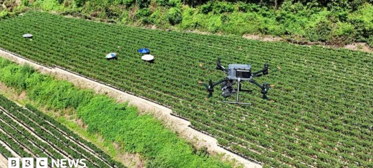 Drone warnings and sheltering in airports as South Korea battles historic heatwave