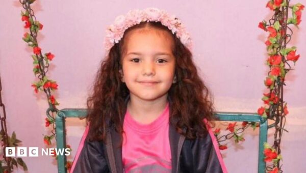 Israeli army orders criminal investigation into killing of Palestinian girl Hind Rajab in Gaza