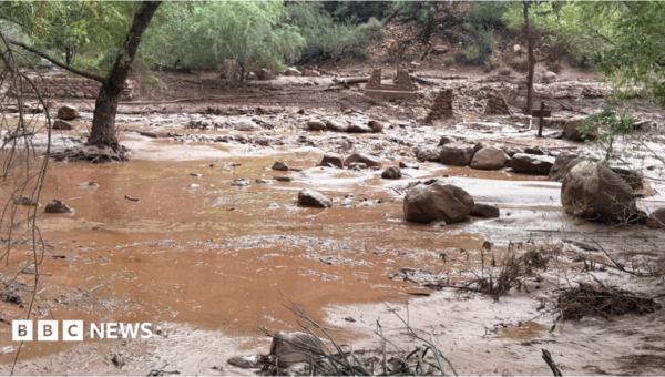 One dead and several missing after ‘terrifying’ flash flooding hits Grand Canyon