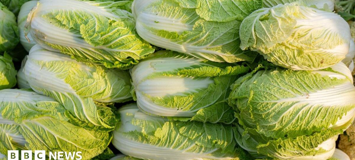 China probes use of formaldehyde to keep cabbages fresh