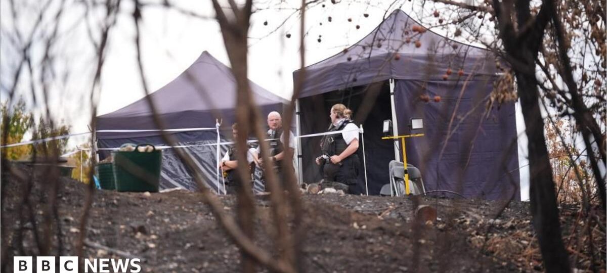 Murder investigation after wildfire uncovers body in park
