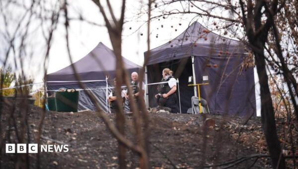 Murder investigation after wildfire uncovers body in park