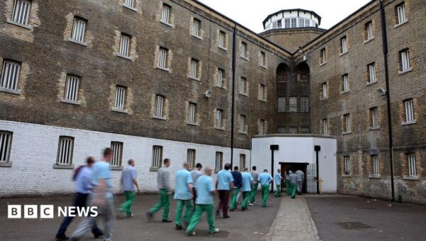 Prisoners freed early are returning to jail at rapid rate, governors tell BBC