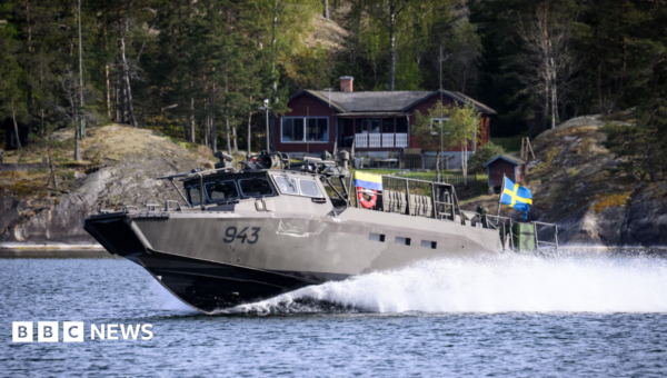 Swedish military seeks to take over Russian-owned estate near naval base