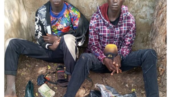 Nigerian military captures two suspected ISWAP collaborators in Borno