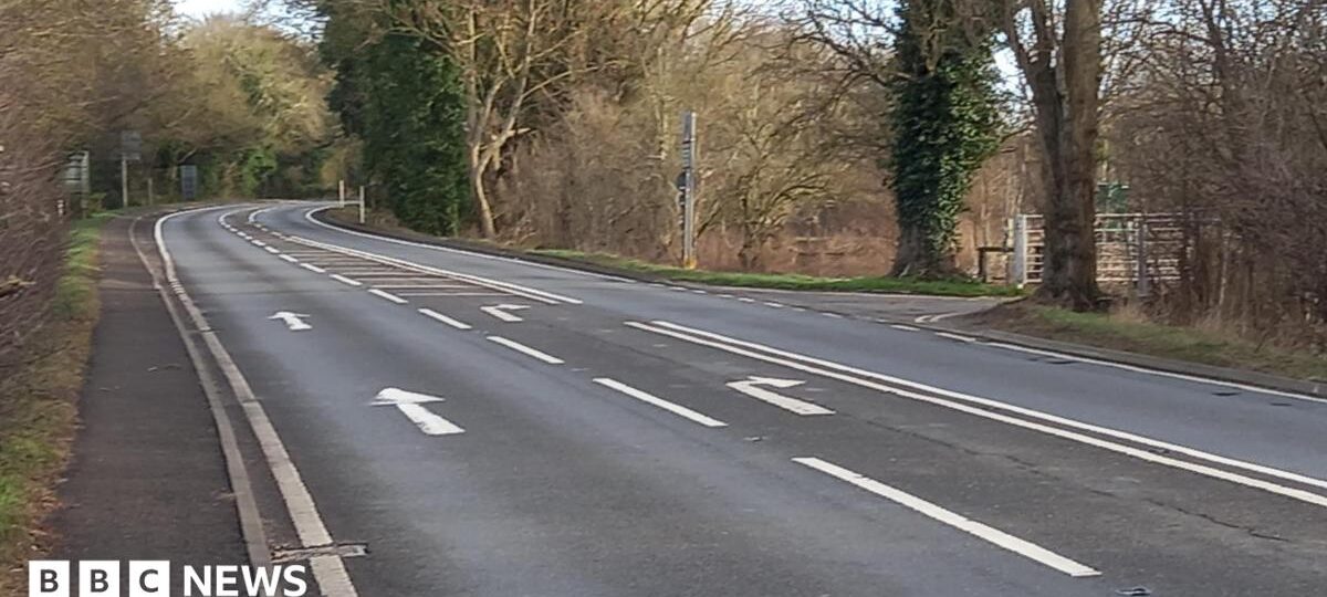 Man dies in crash after police pursuit