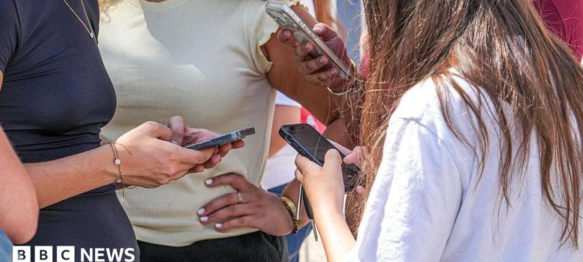France's top court blocks social media ban for under-15s