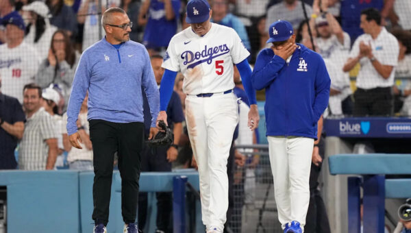 Dodgers’ Freddie Freeman somehow avoids serious injury in frightening fall into visitors’ dugout