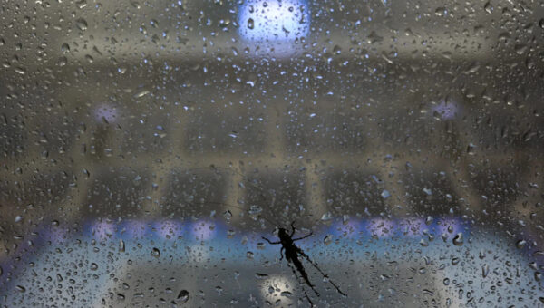 Cincinnati Open qualifying matches rained out one day before main draw play