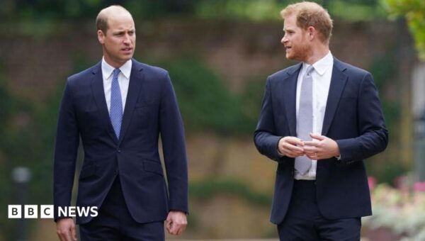 Will Harry's return heal rift with his brother? Don't hold your breath