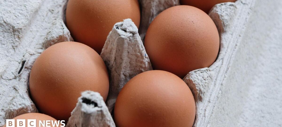 One dead and hundreds ill in UK salmonella outbreak