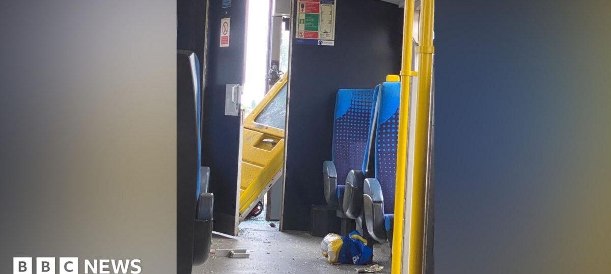 Mum says family 'lucky to be alive' after train crash