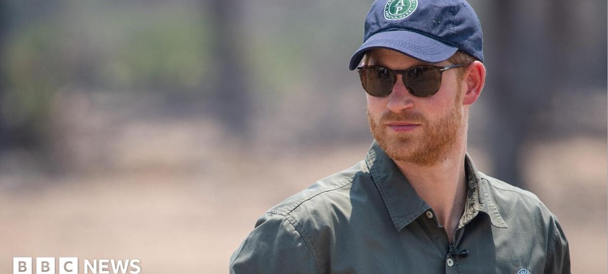 Prince Harry steps down from African wildlife charity board