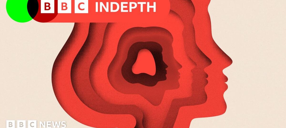 A split in the spectrum? The ongoing battle to define autism