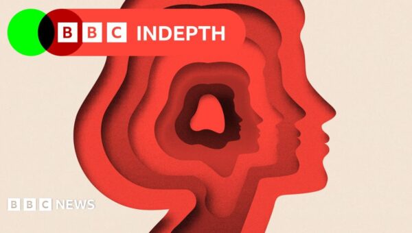 A split in the spectrum? The ongoing battle to define autism