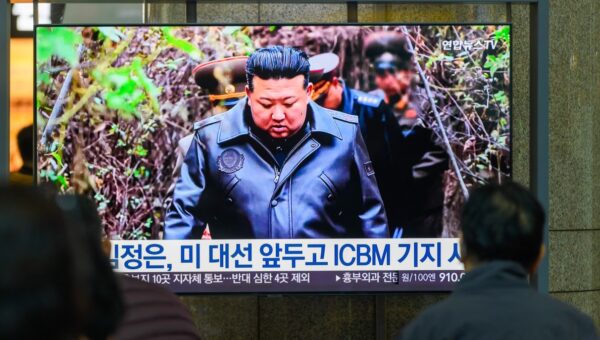 North Korean remote IT staffer worked for US government agency, says FBI