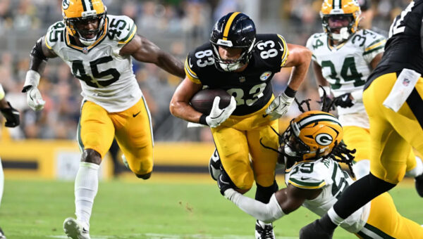 Steelers stock up/stock down after preseason Week One