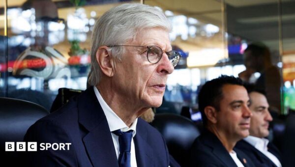 Fifa private money plan had to be scrapped – Wenger