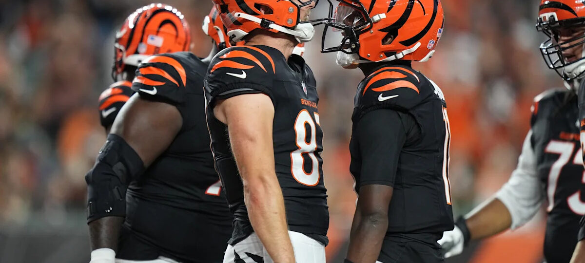 40-year-old journeyman QB Josh Johnson leads Bengals to 27-9 preseason victory over Bears