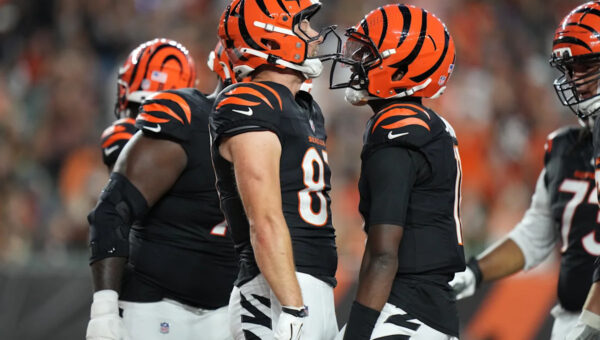 40-year-old journeyman QB Josh Johnson leads Bengals to 27-9 preseason victory over Bears