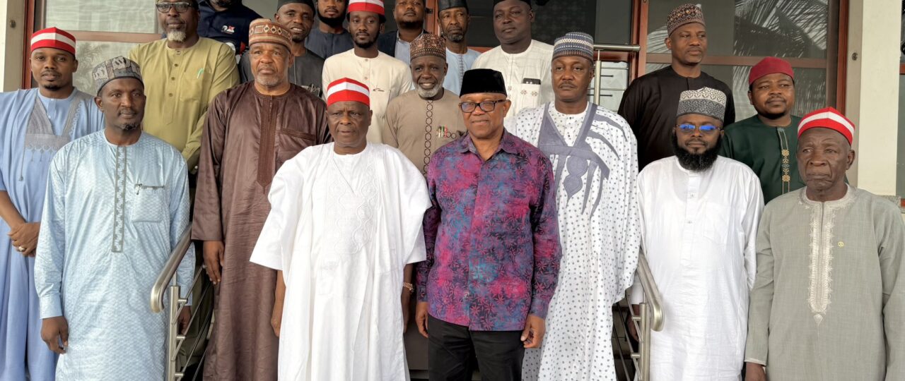 2027: Peter Obi, Kwankwaso meet NDC governorship candidates in Abuja